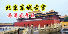 美女黄片逼逼被操视频下载中国北京-东城古宫旅游风景区